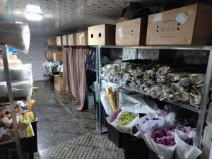 冷庫安裝公司，江西冷庫安裝，上海冷庫安裝，冷庫建造工廠